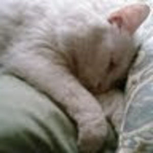 Meet your Posher, Becky